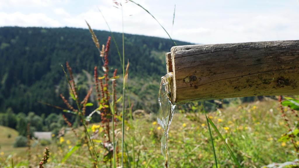 Hotel Beck Lauscha Exteriér fotografie