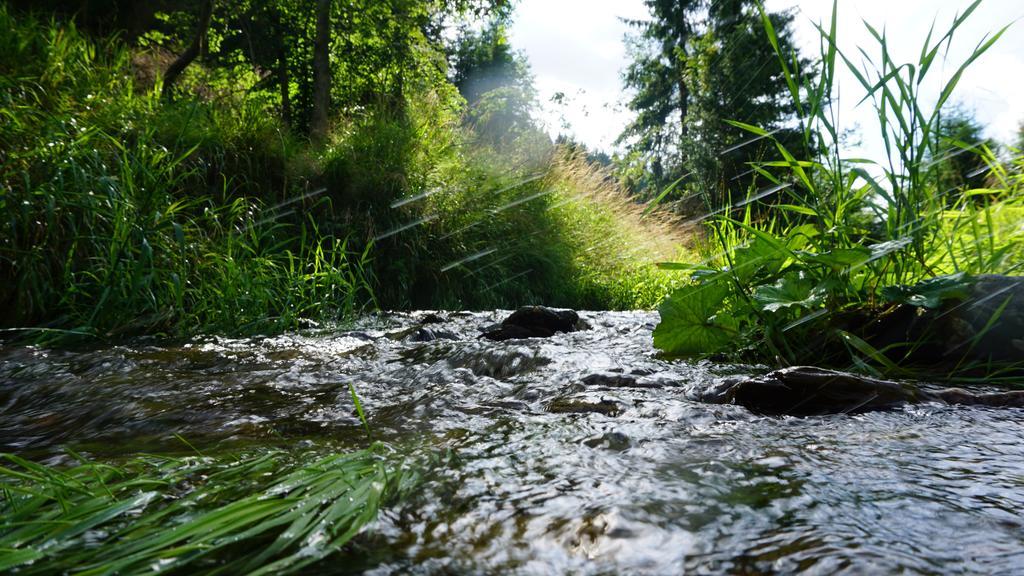 Hotel Beck Lauscha Exteriér fotografie